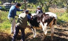 Ganaderos de altura apuestan por una ganadería más sana y productiva